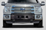 Fits 2015-2020 Ford F-150 Carbon Fiber BSZ Front Bumper Grille - 1 Piece  #115598